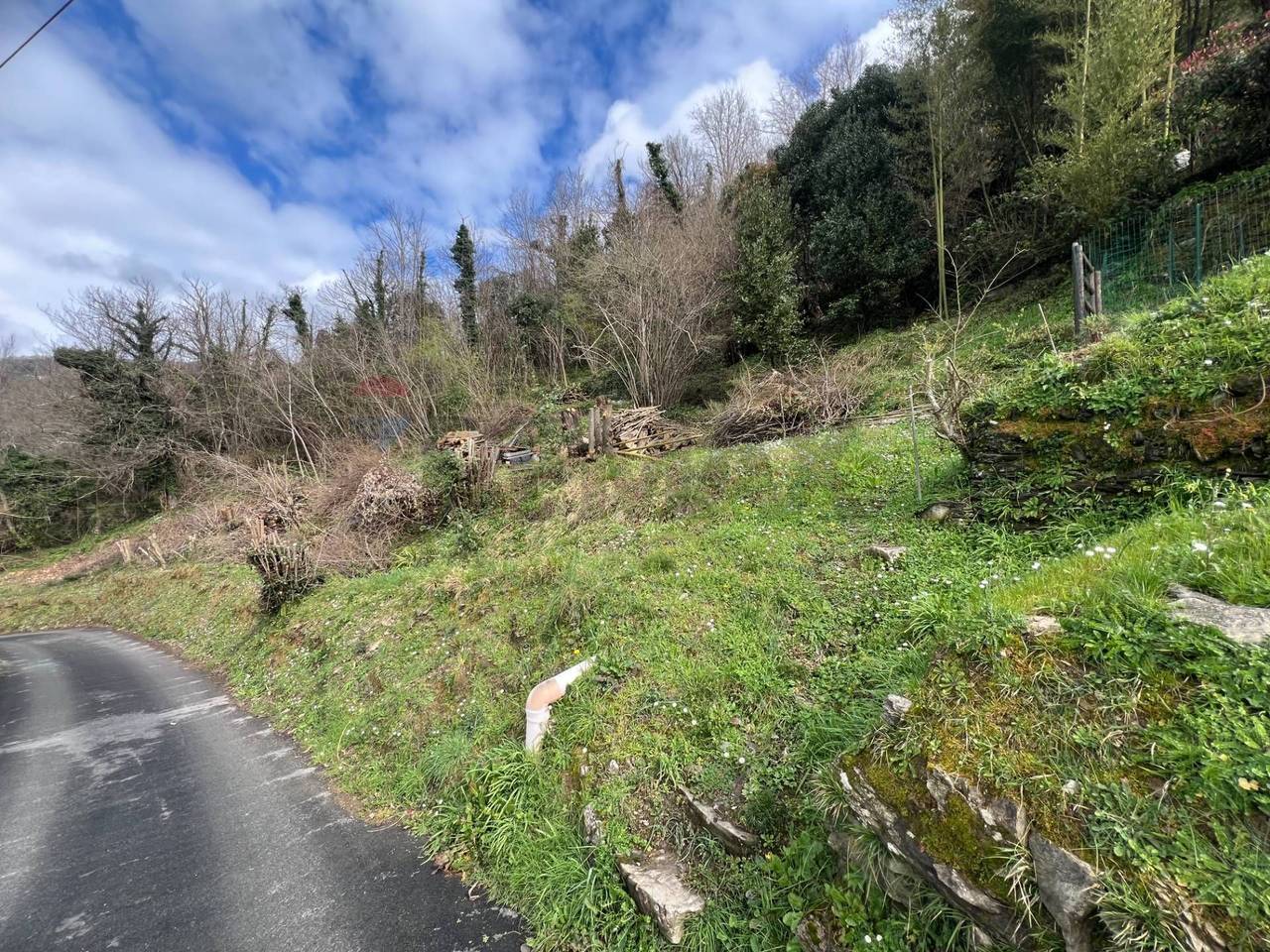 immagine annuncio 1 di 7