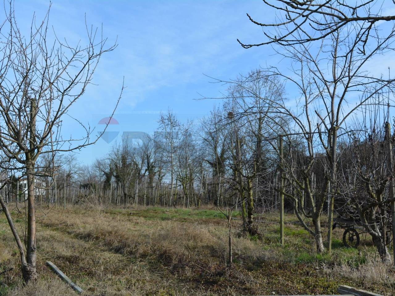 immagine annuncio 1 di 14