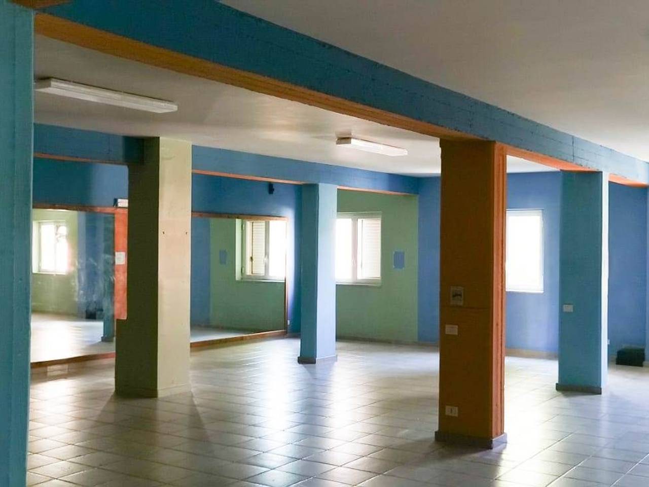 immagine annuncio 9 di 14