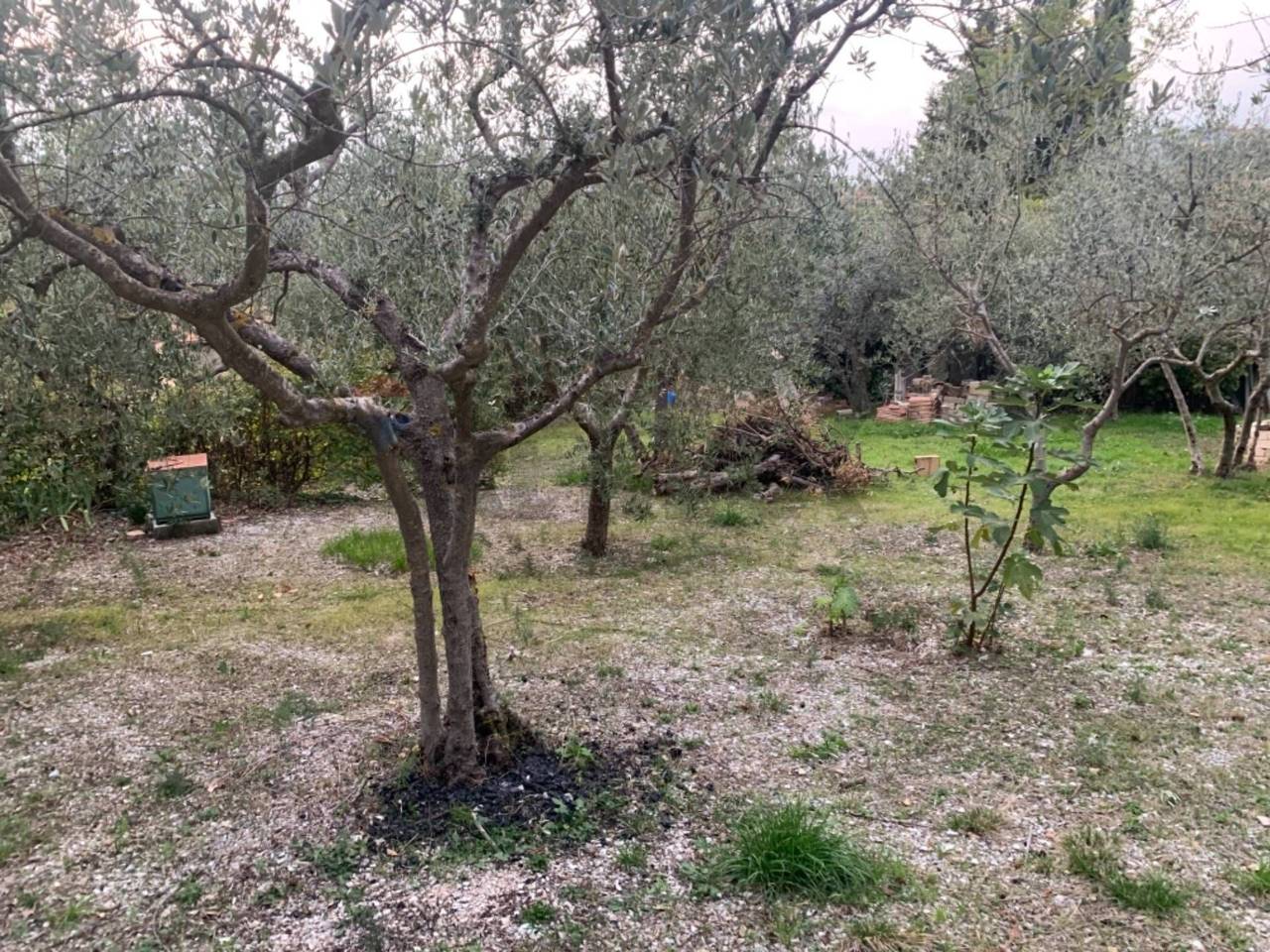 immagine annuncio 10 di 14