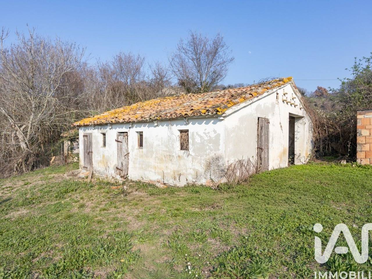 immagine annuncio 7 di 15