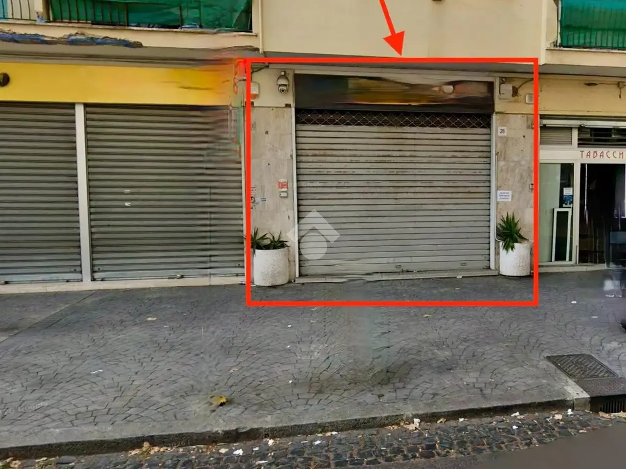 Negozio in Viale Paolo Orlando 28, Roma, {3} - Foto 1