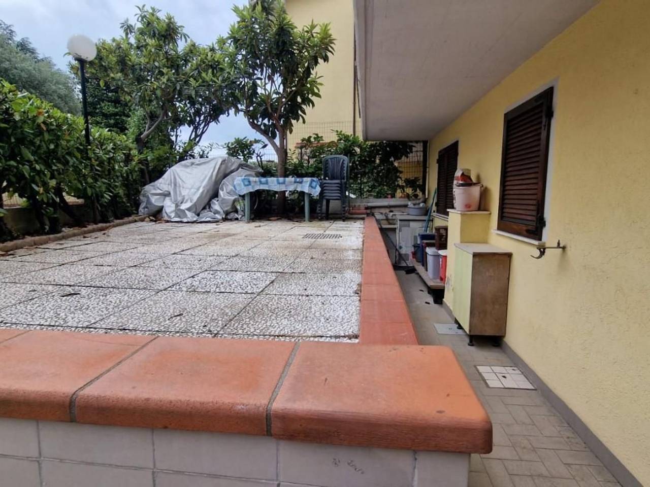 immagine annuncio 0 di 15