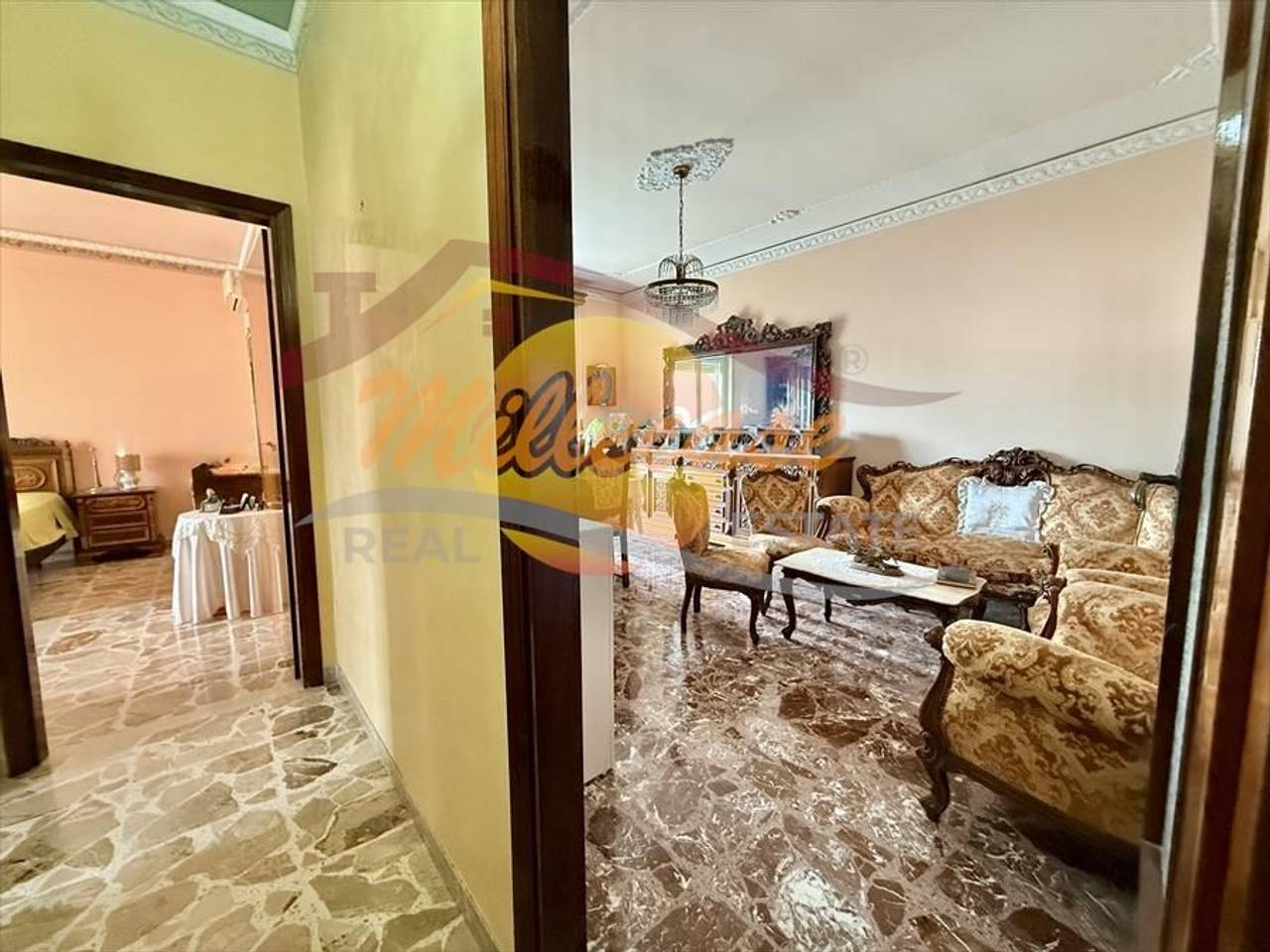 immagine annuncio 5 di 14