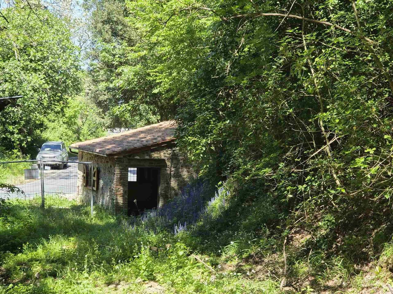 immagine annuncio 11 di 14