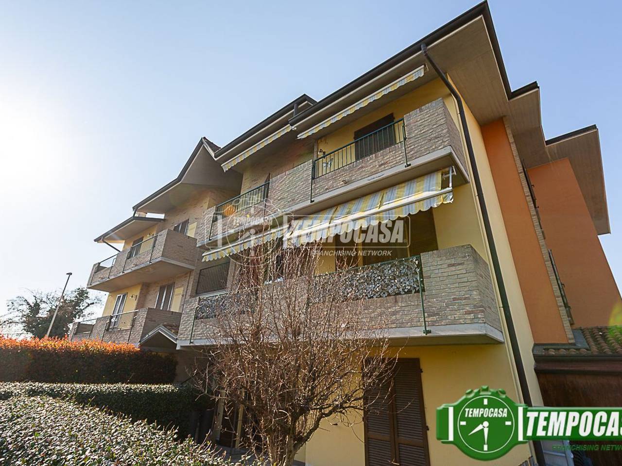 immagine annuncio 11 di 13