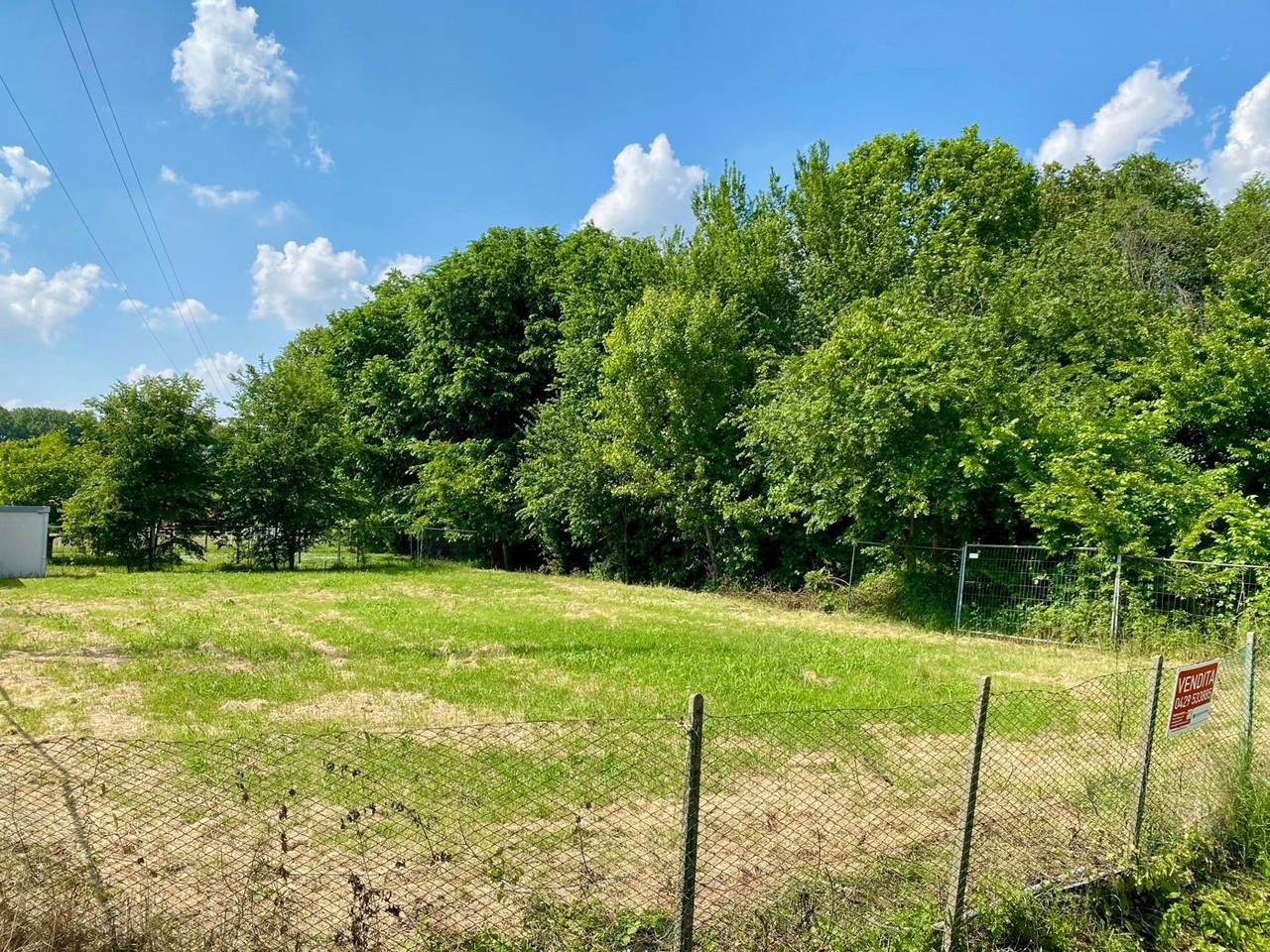 immagine annuncio 6 di 8