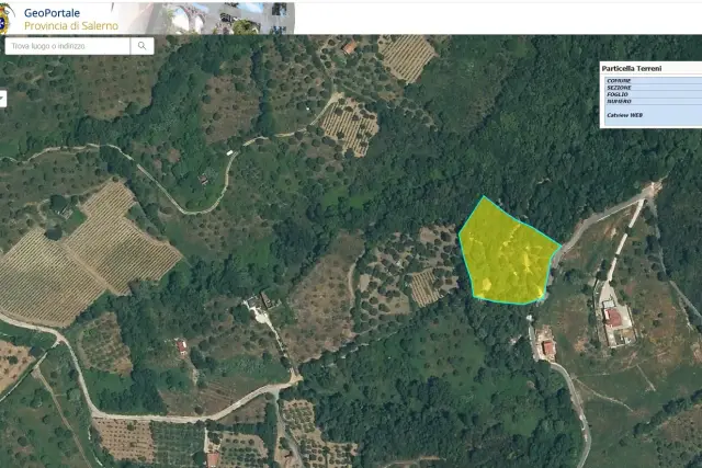 insertion image