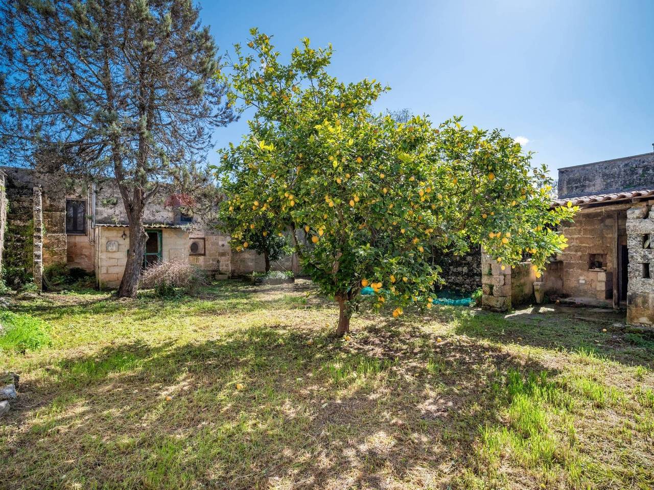 immagine annuncio 10 di 15