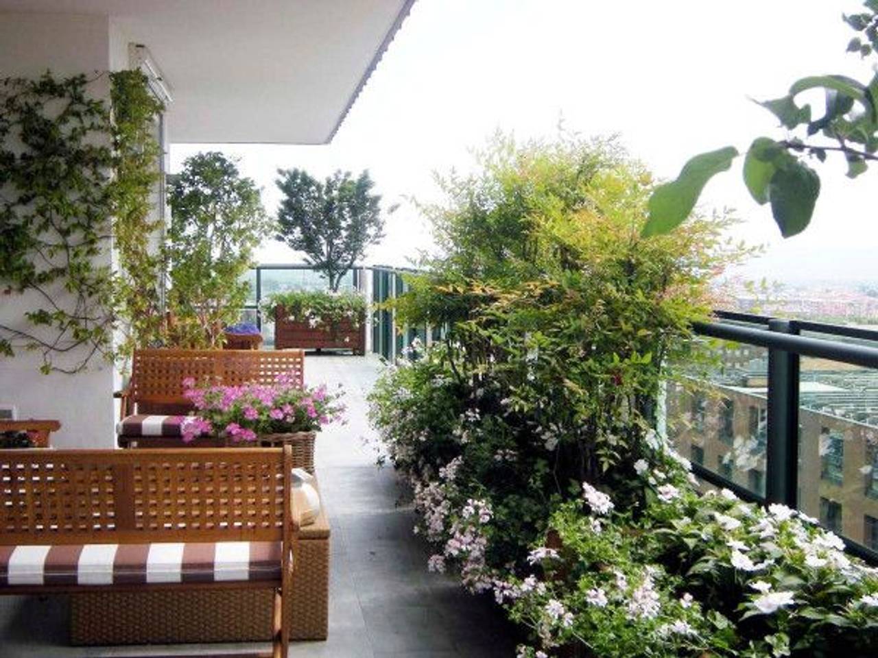 immagine annuncio 3 di 11