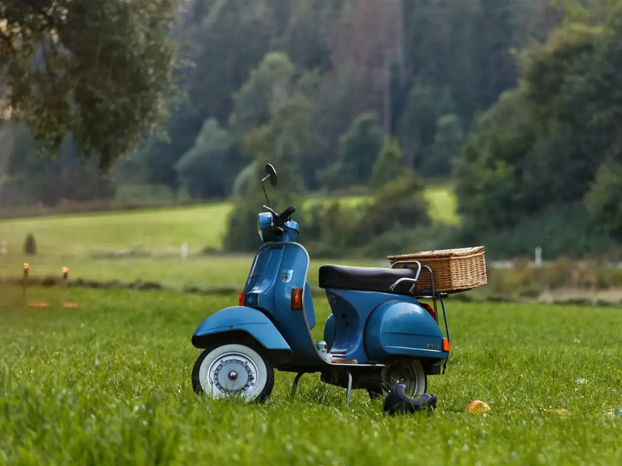 Azienda agricola in , Scandicci, {3} - Foto 1