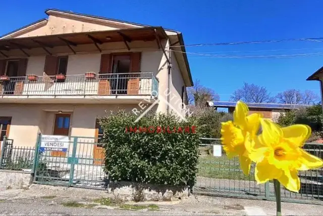 insertion image