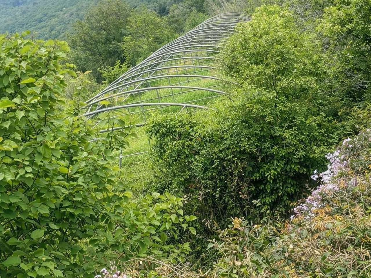 immagine annuncio 5 di 7