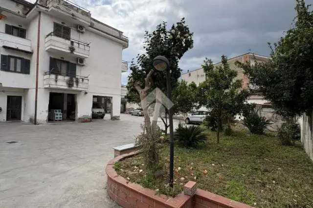 insertion image