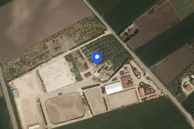 insertion image