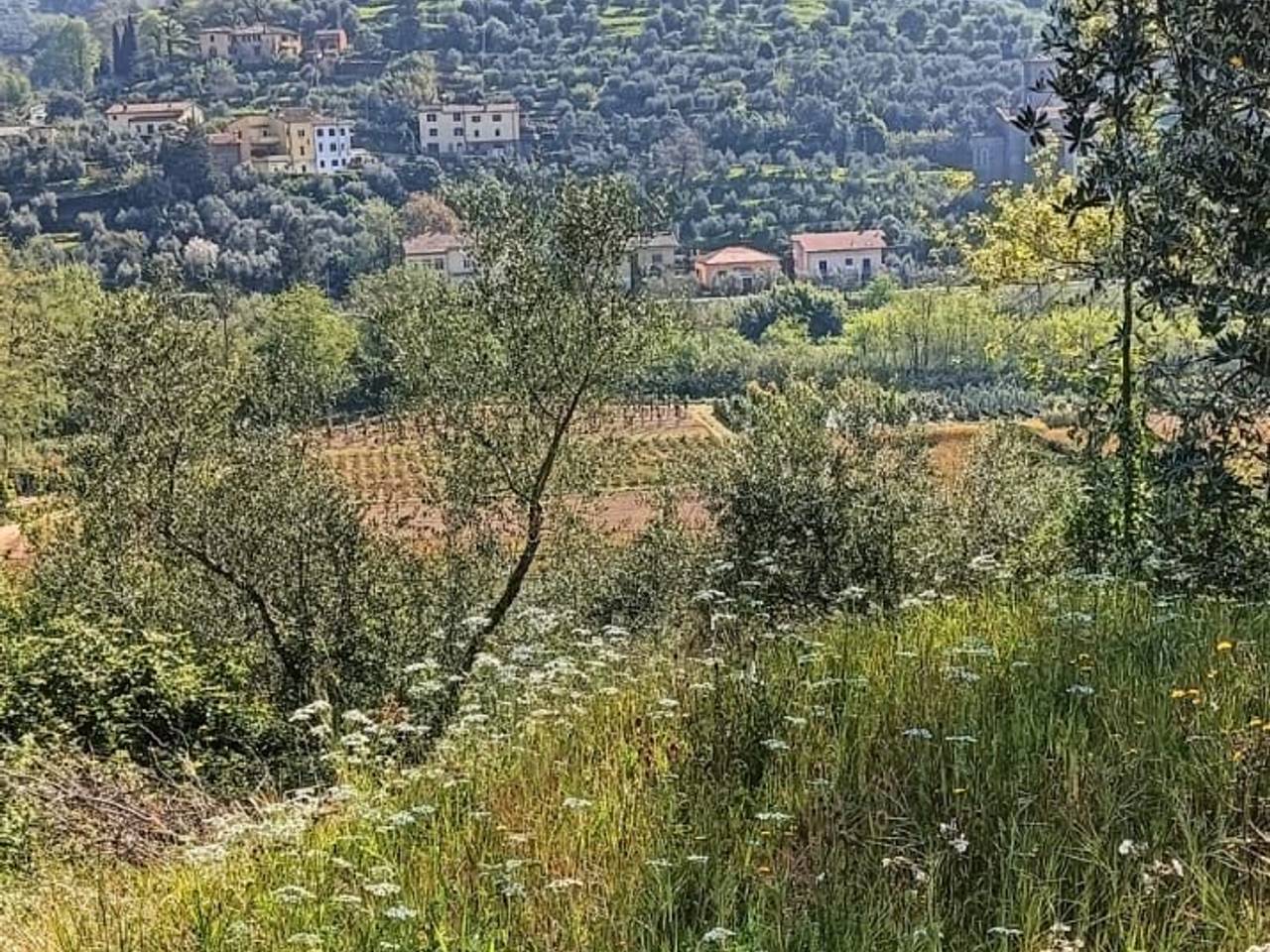 immagine annuncio 5 di 11