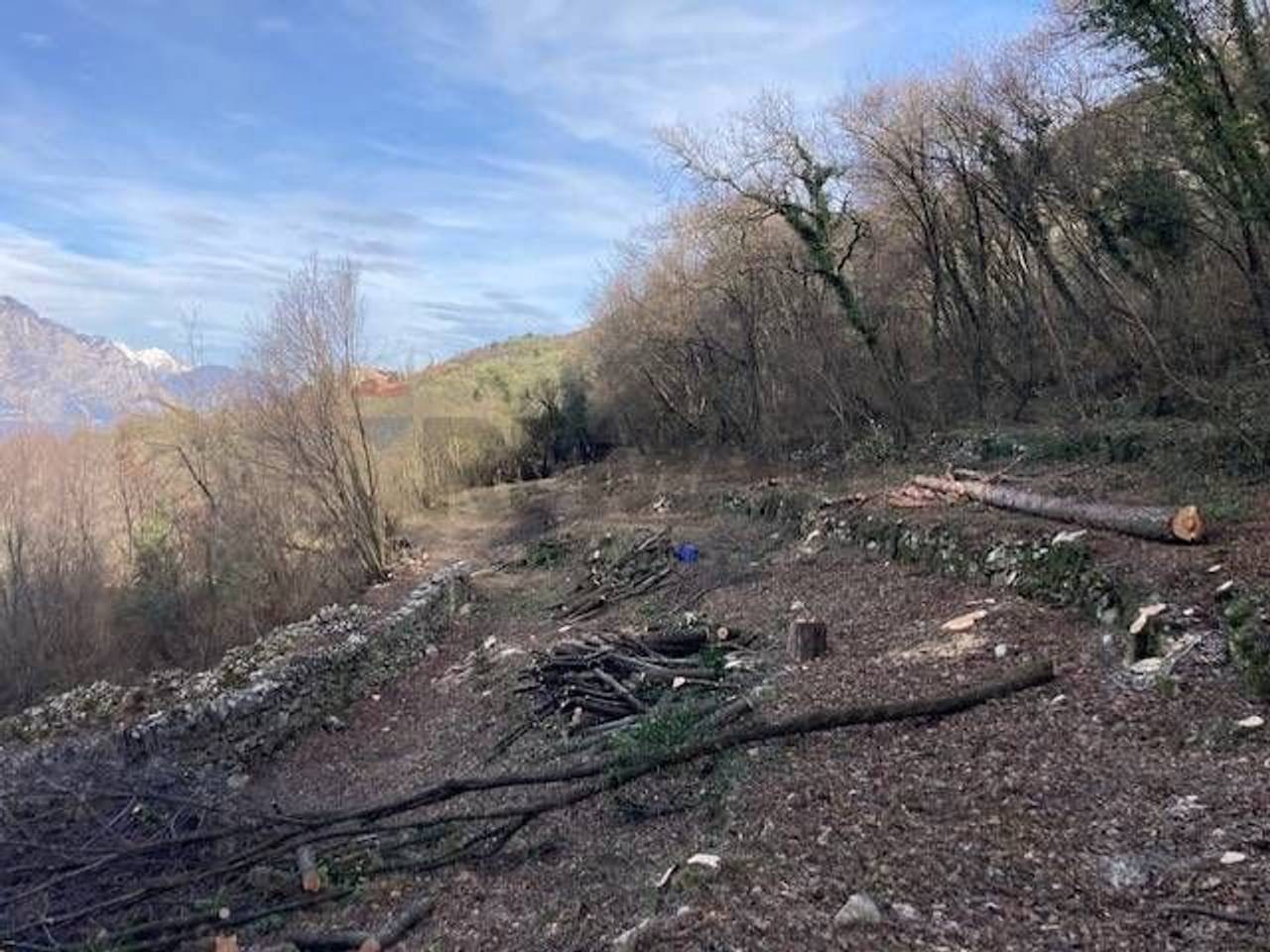 immagine annuncio 5 di 12