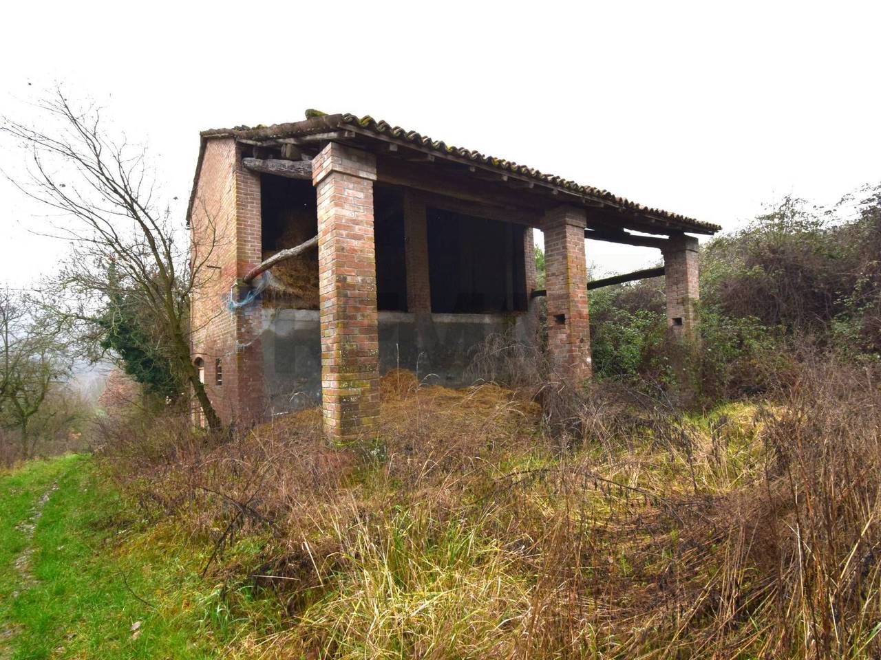 immagine annuncio 10 di 12