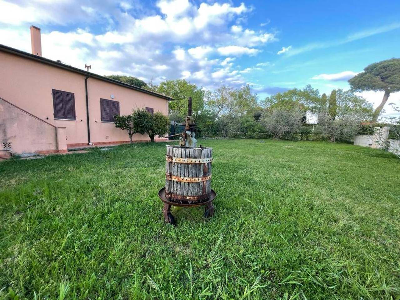 immagine annuncio 1 di 15