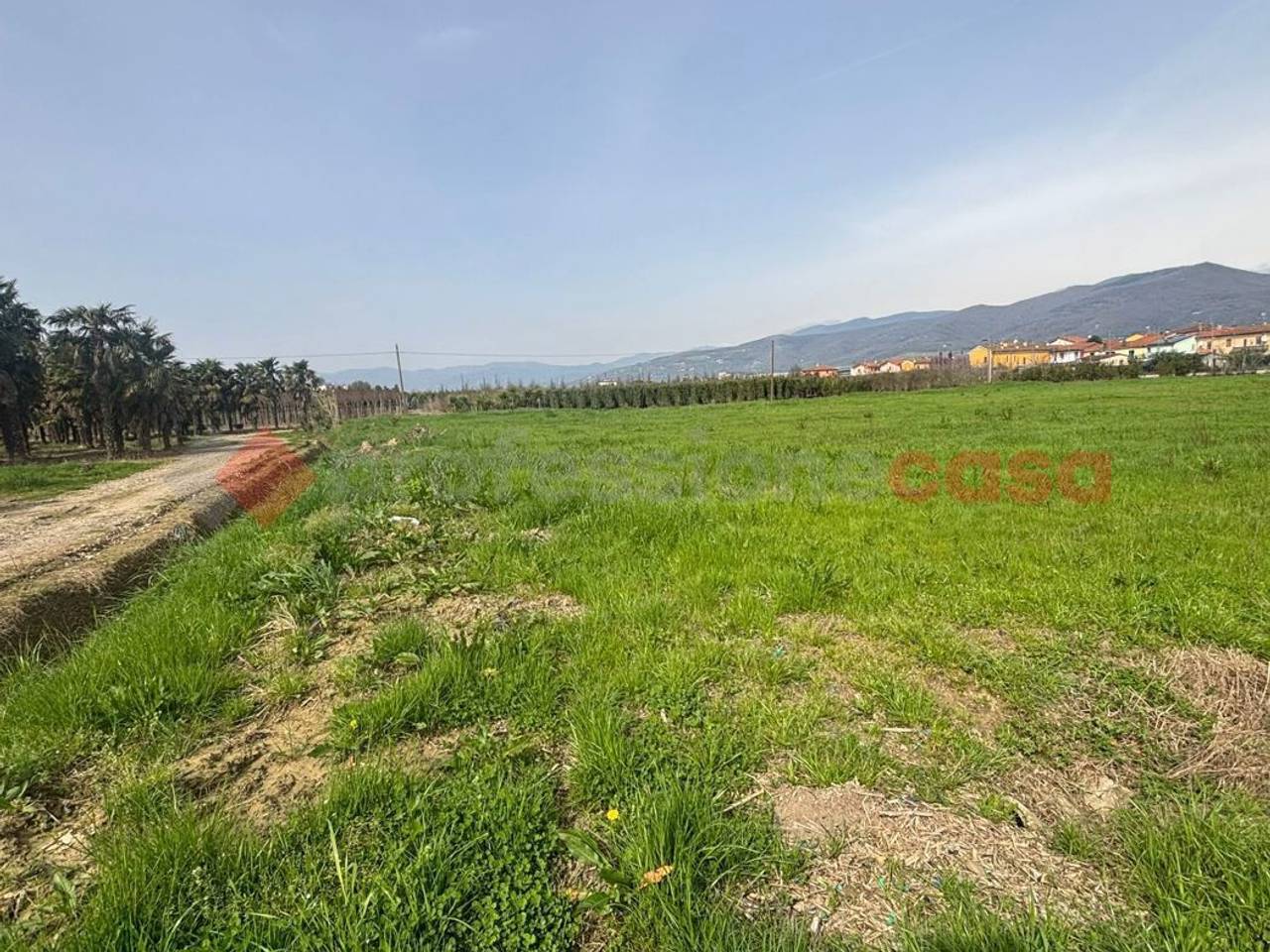 immagine annuncio 5 di 7