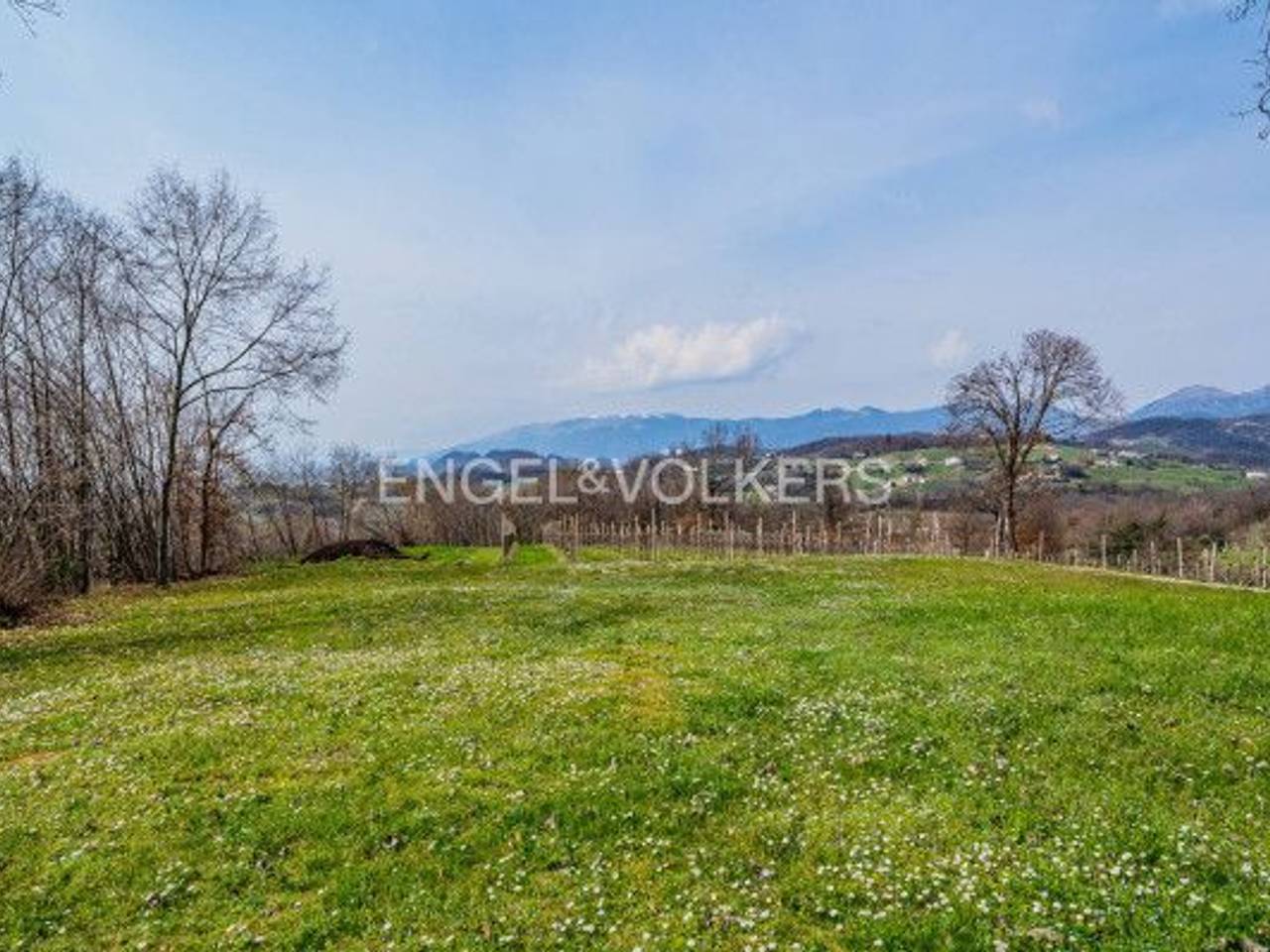 immagine annuncio 7 di 9