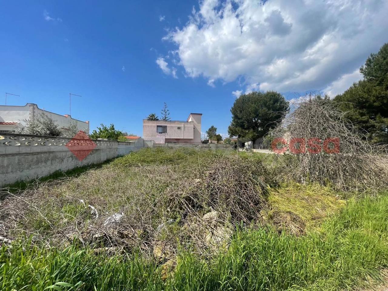 immagine annuncio 1 di 7