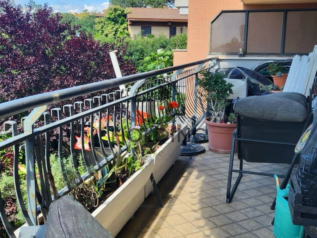 immagine annuncio 9 di 12