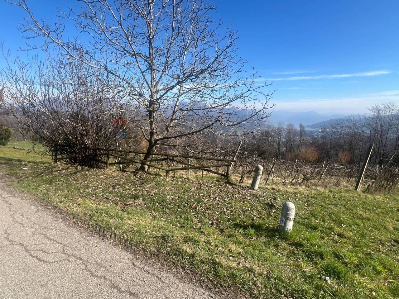 immagine annuncio 2 di 7