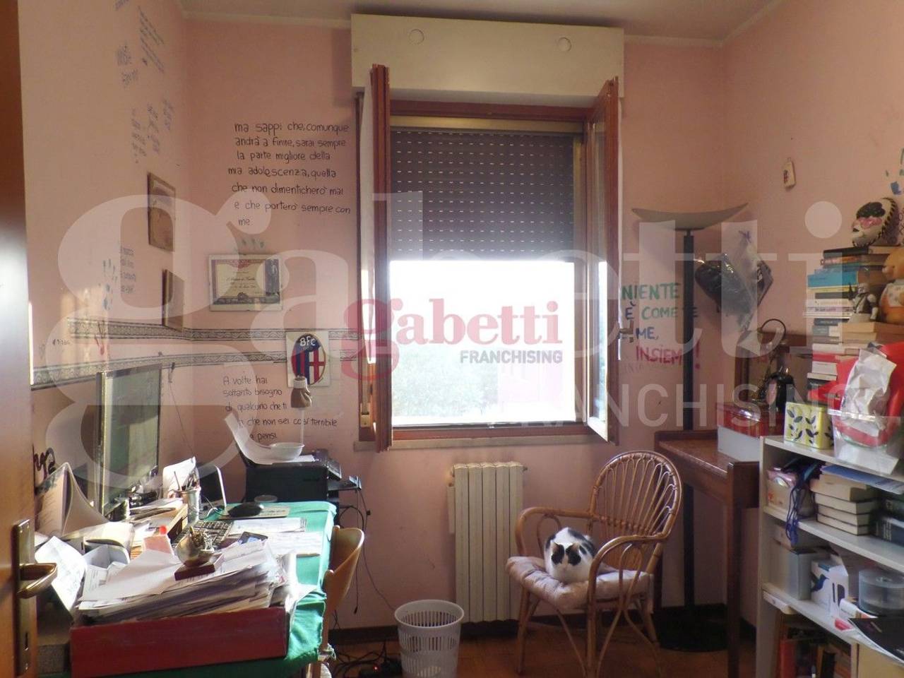 immagine annuncio 6 di 14