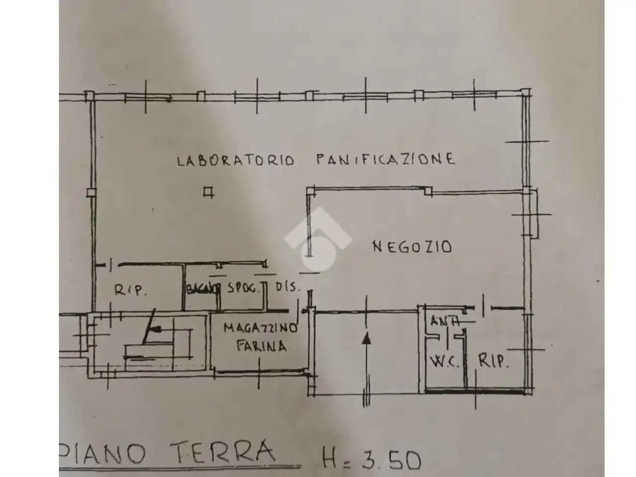 Negozio in Via Montenero 2, Gorla Minore, {3} - Planimetria 1