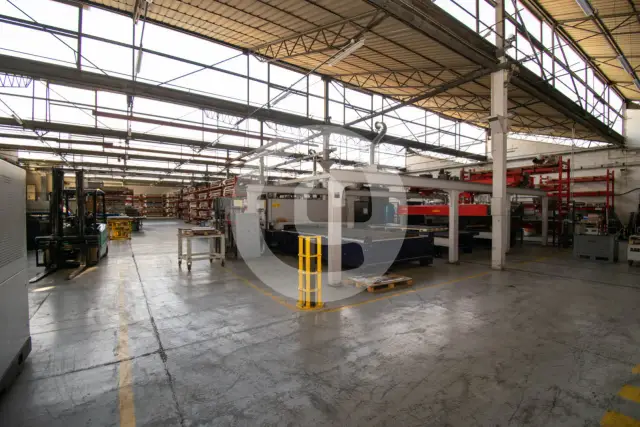 insertion image