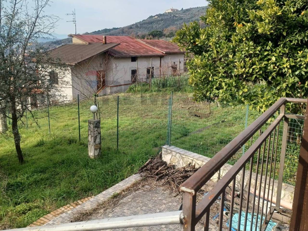 immagine annuncio 6 di 15