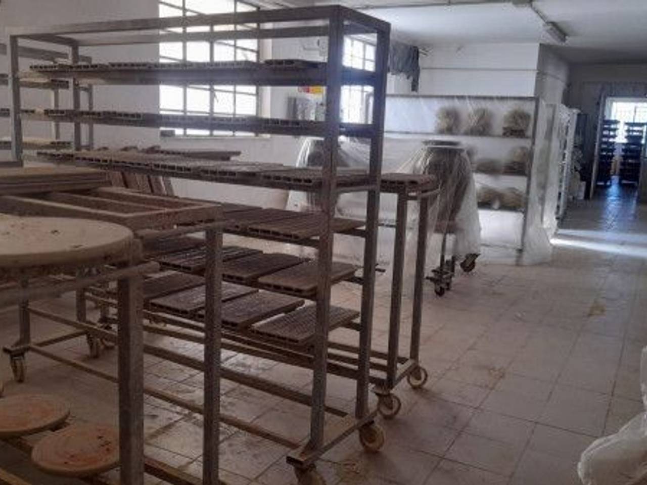 immagine annuncio 12 di 14