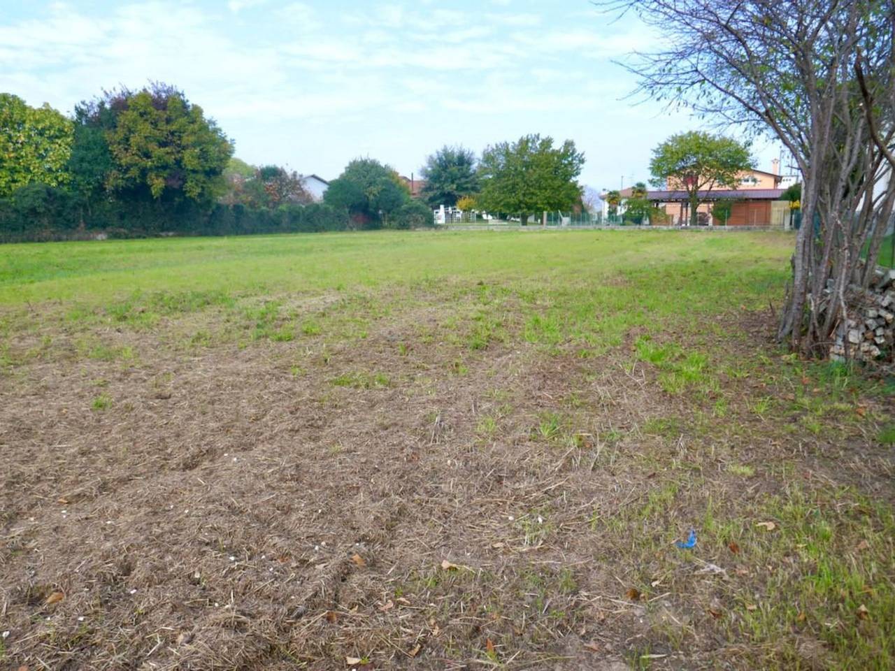 immagine annuncio 3 di 6