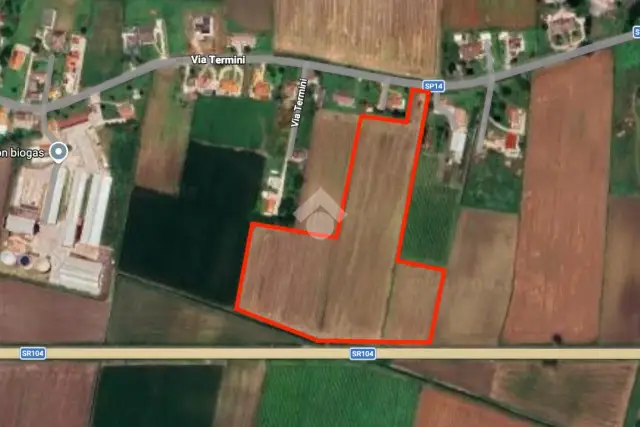 insertion image