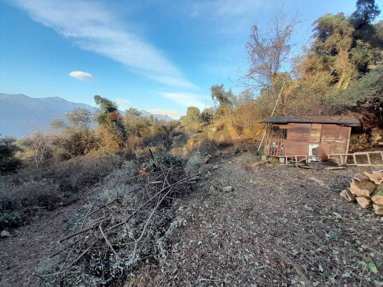 immagine annuncio 7 di 12