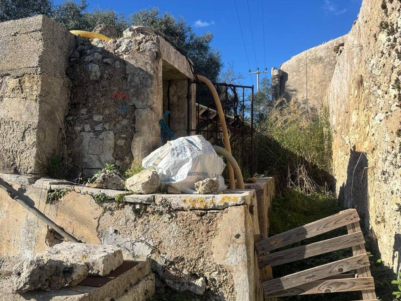 immagine annuncio 11 di 14