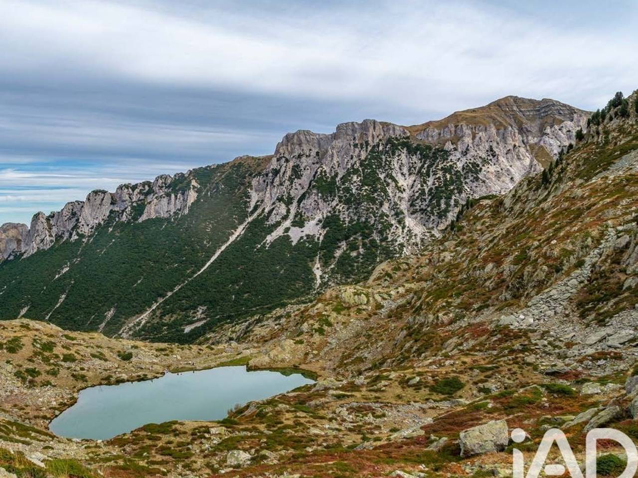 immagine annuncio 9 di 14