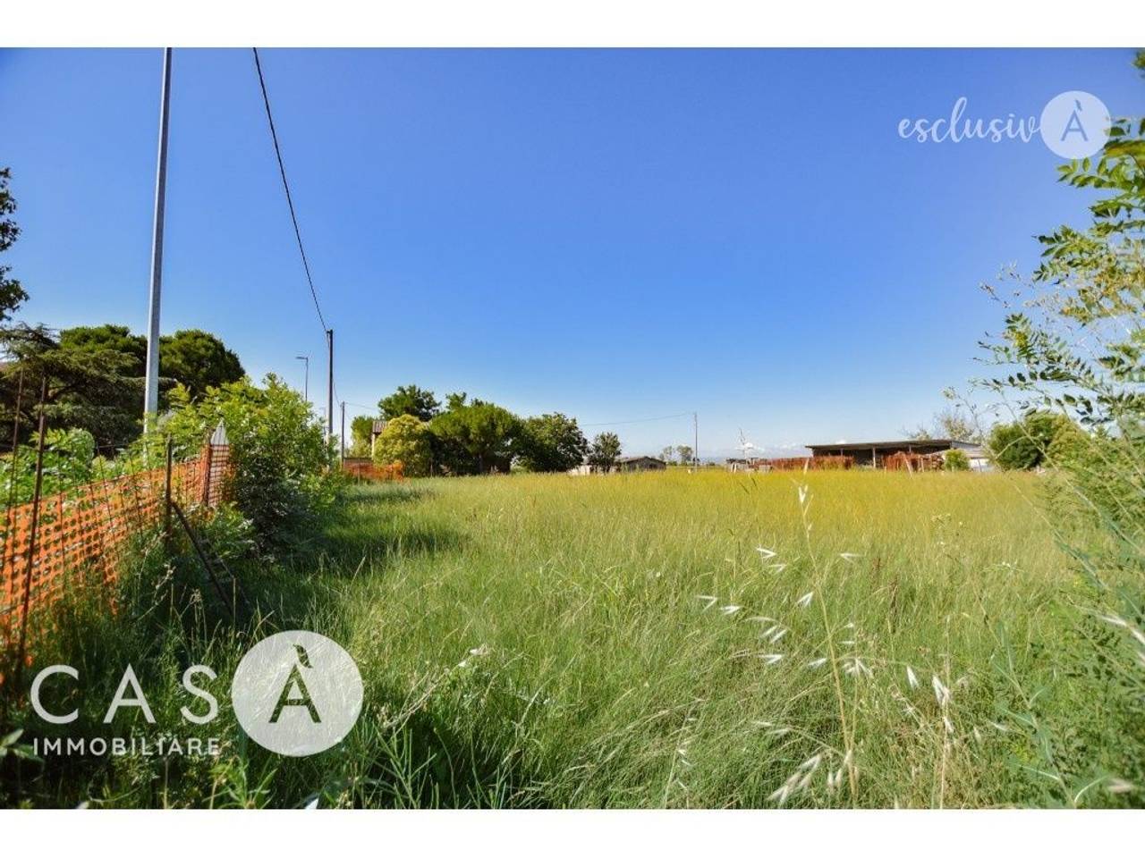 immagine annuncio 1 di 6