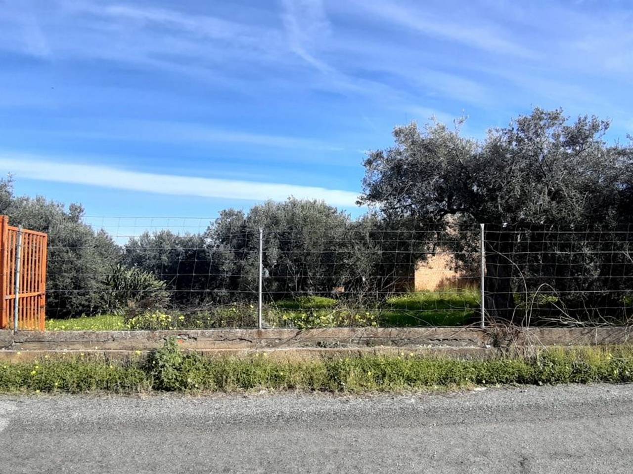 immagine annuncio 1 di 8