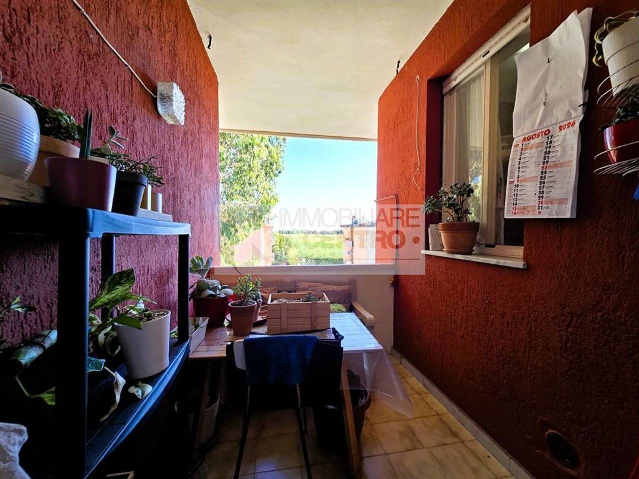 immagine annuncio 6 di 8