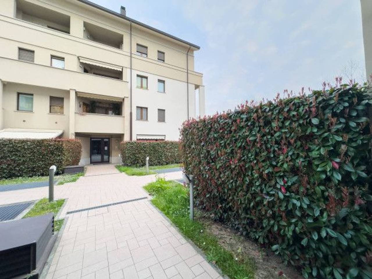 immagine annuncio 1 di 14