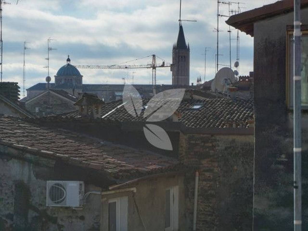 immagine annuncio 11 di 14