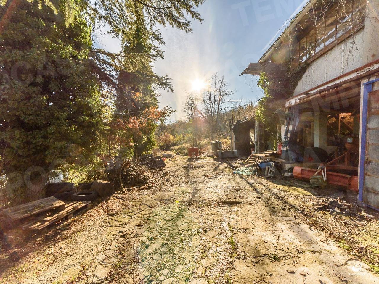 immagine annuncio 6 di 9