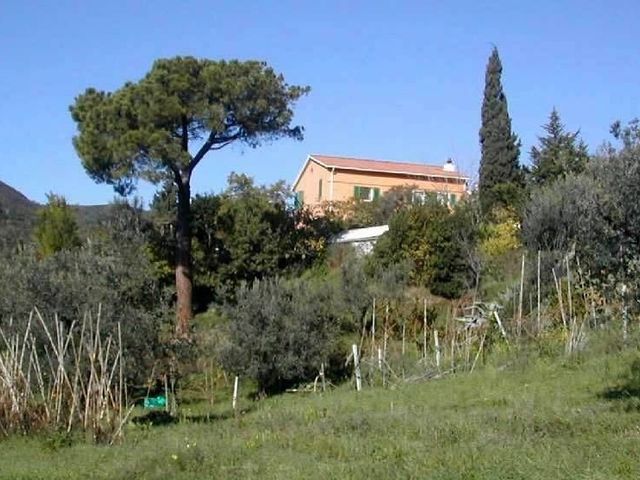 Rustico, Riparbella - Foto 1