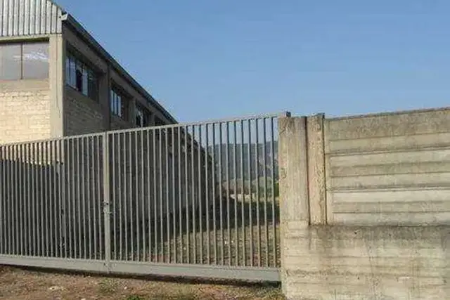 insertion image