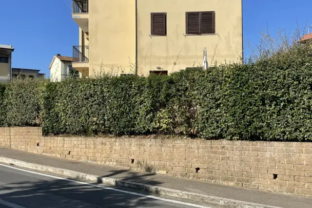 insertion image