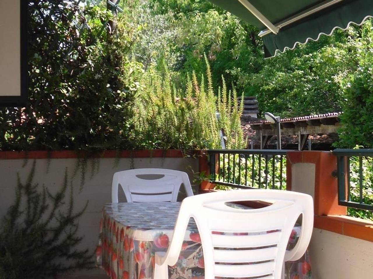 immagine annuncio 2 di 12