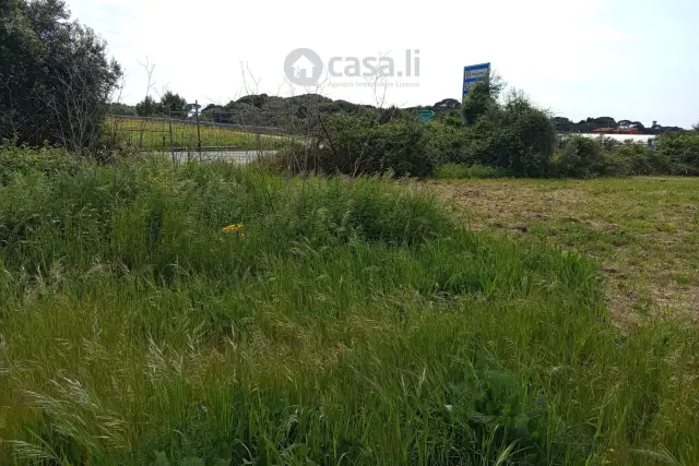 insertion image