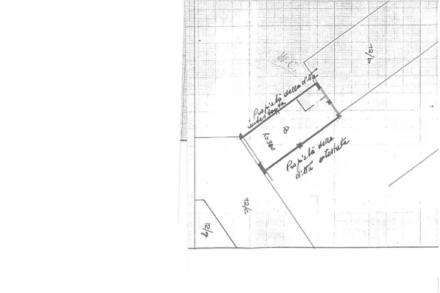 main planimetry real estate image